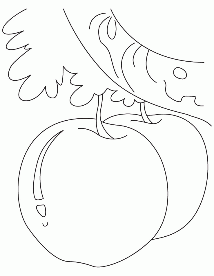 Apple Coloring Picture 84