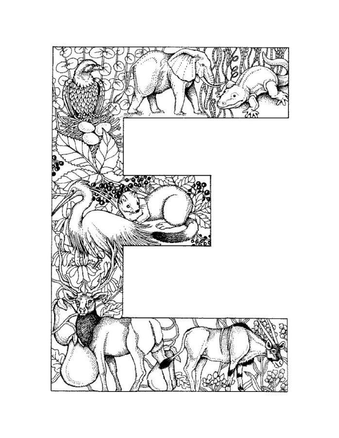 E Coloring Page 42