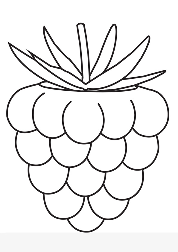 Fruits Coloring Pages Printable 32