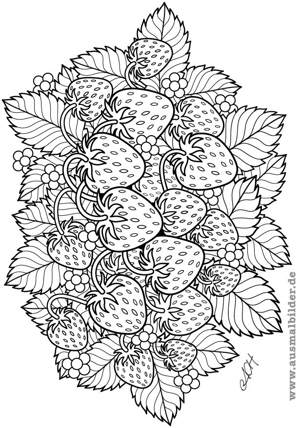 Fruits Coloring Pages Printable 64