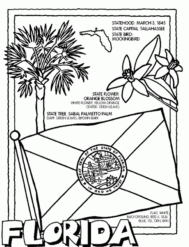 States Coloring Pages 15