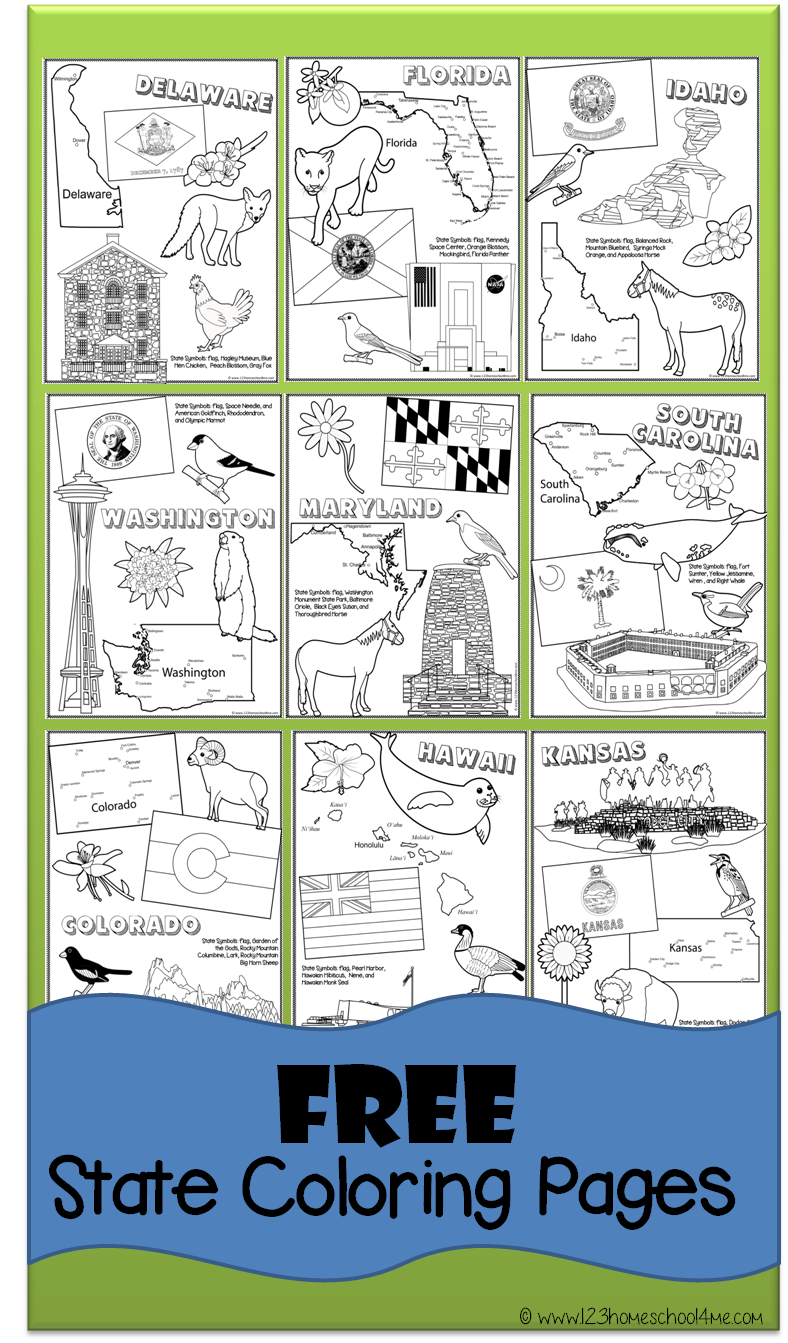 States Coloring Pages 27