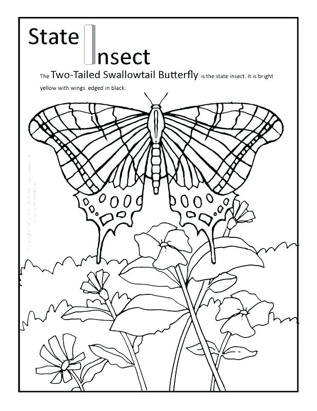 States Coloring Pages 94