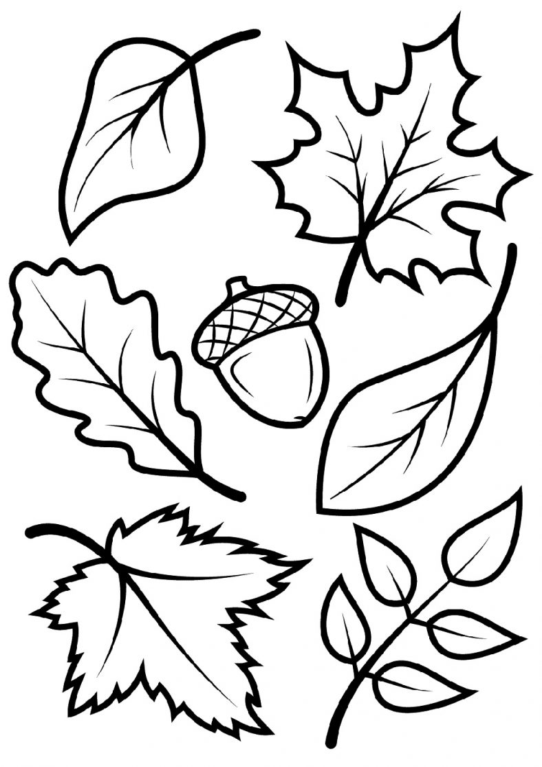 30 Coloring Pages Fall Printable 26