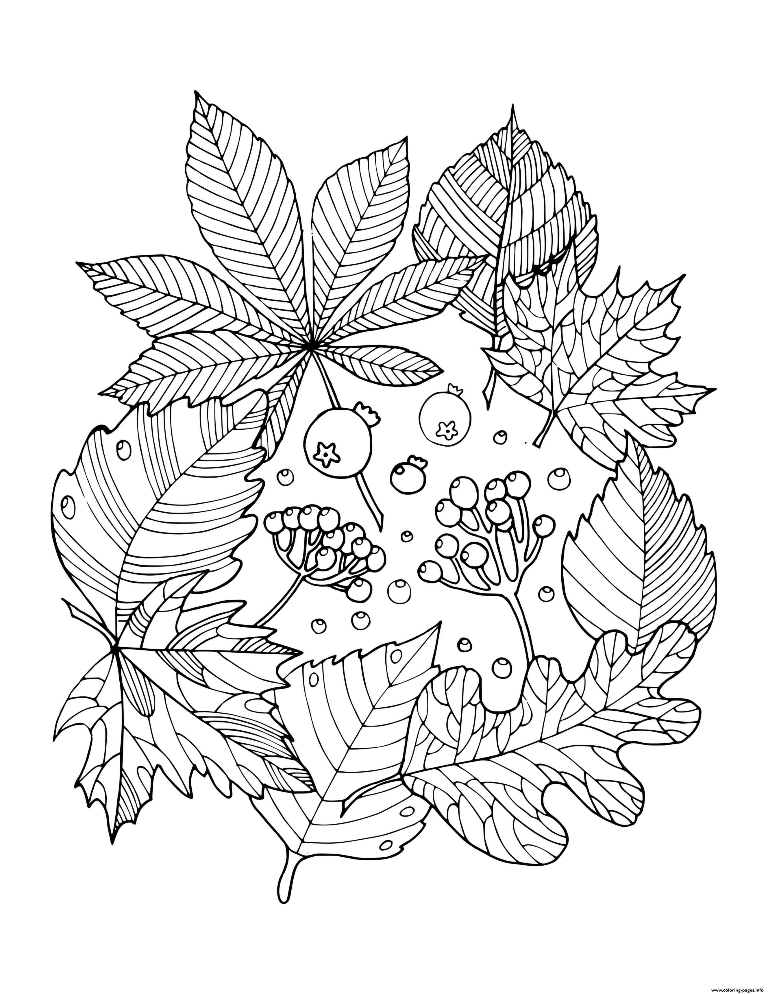 30 Coloring Pages Fall Printable 7