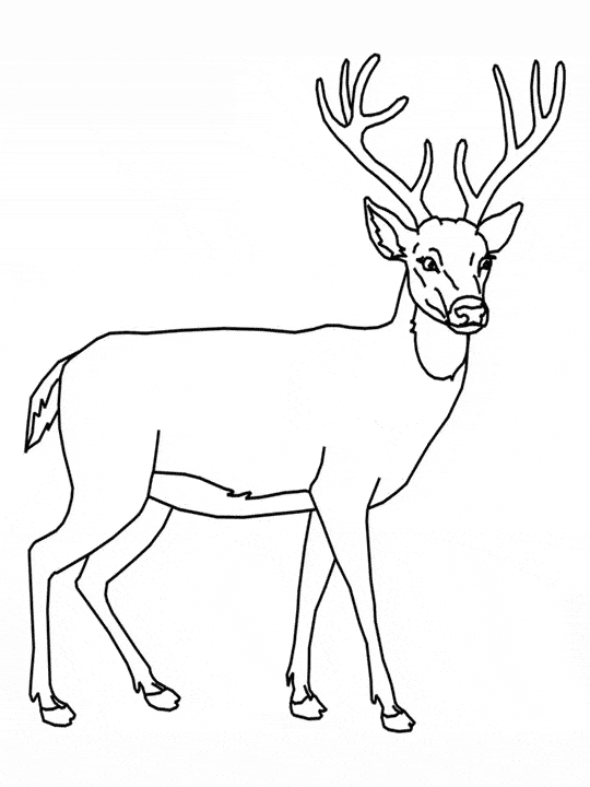 40 Coloring Pictures Of Deer 10