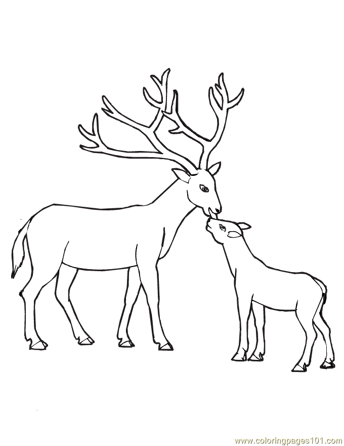 40 Coloring Pictures Of Deer 25