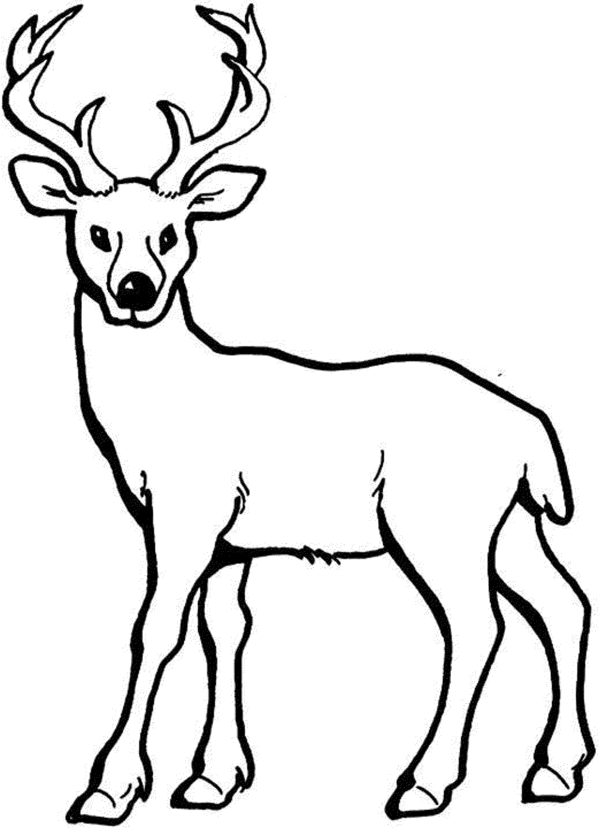 40 Coloring Pictures Of Deer 27