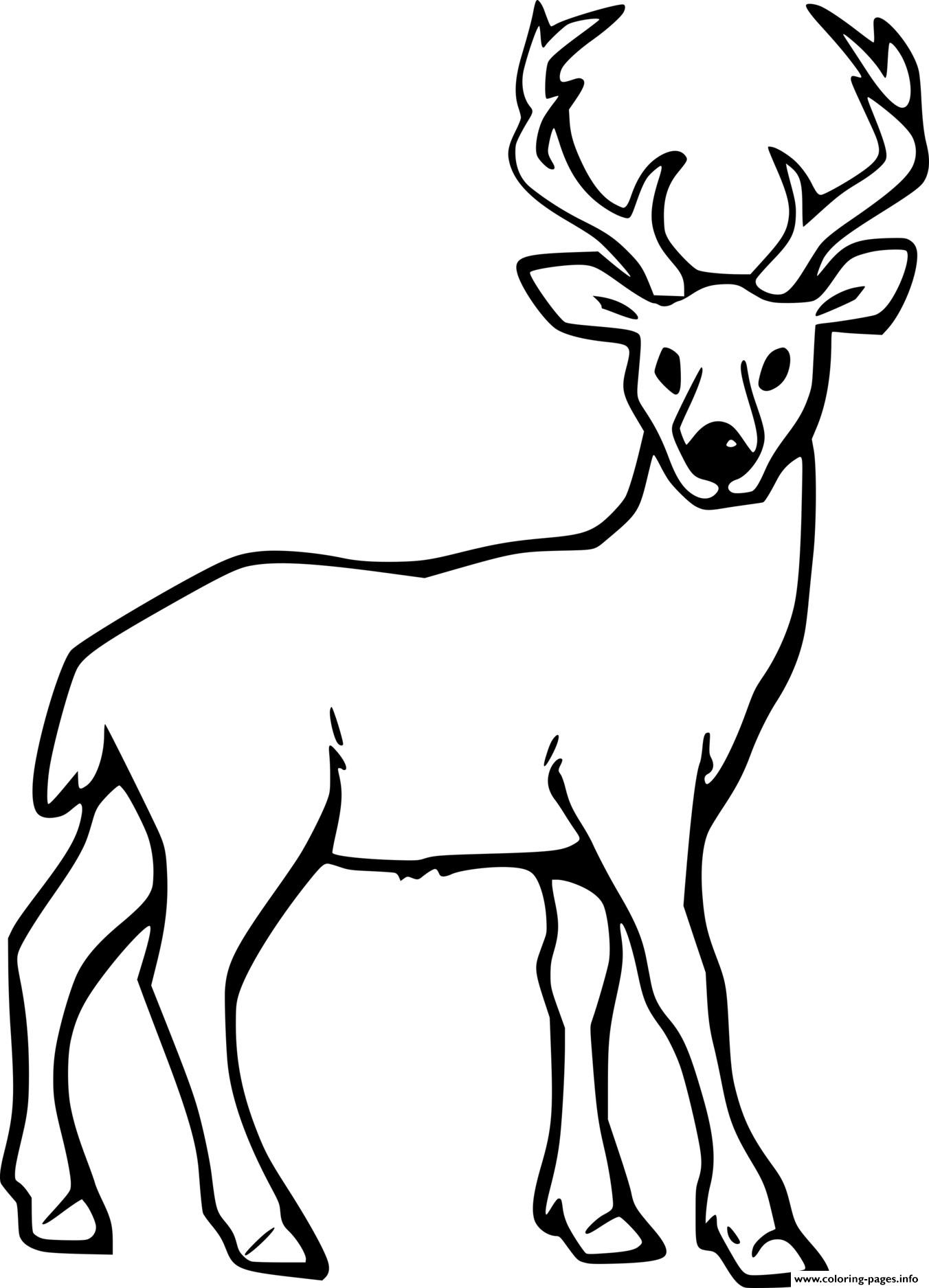 40 Coloring Pictures Of Deer 28