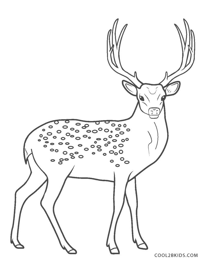 40 Coloring Pictures Of Deer 30