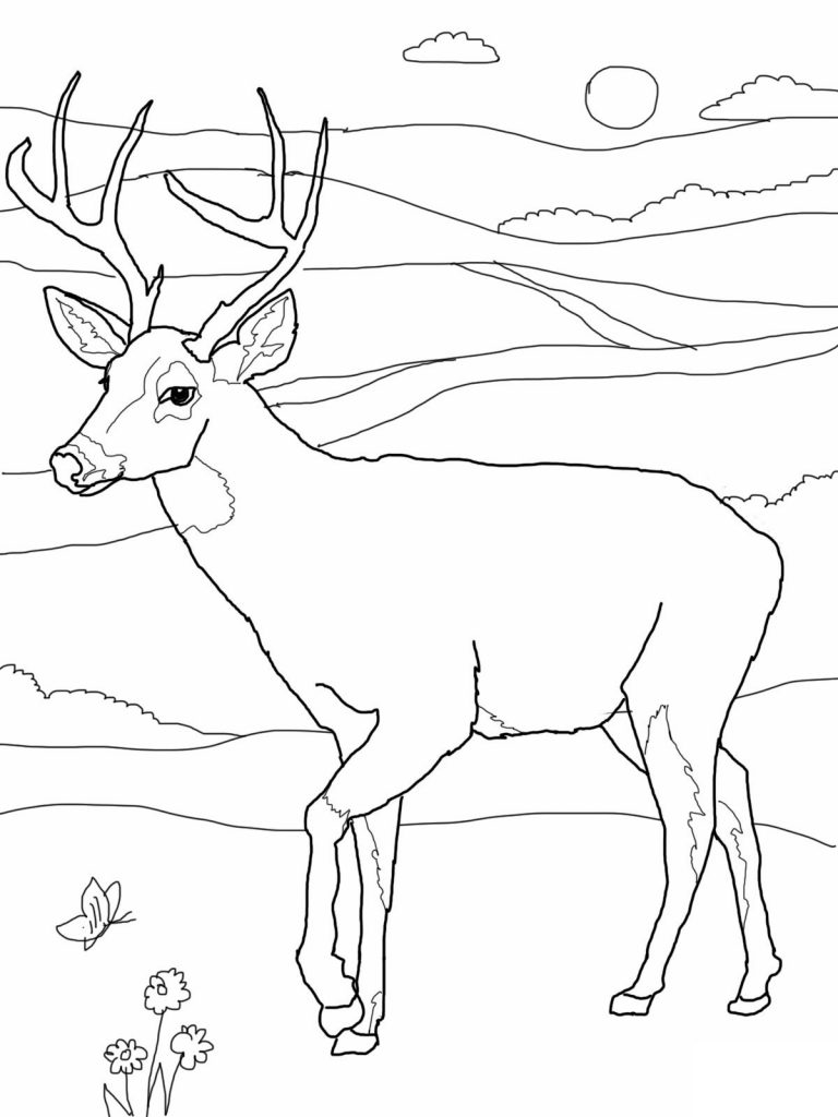 40 Coloring Pictures Of Deer 37