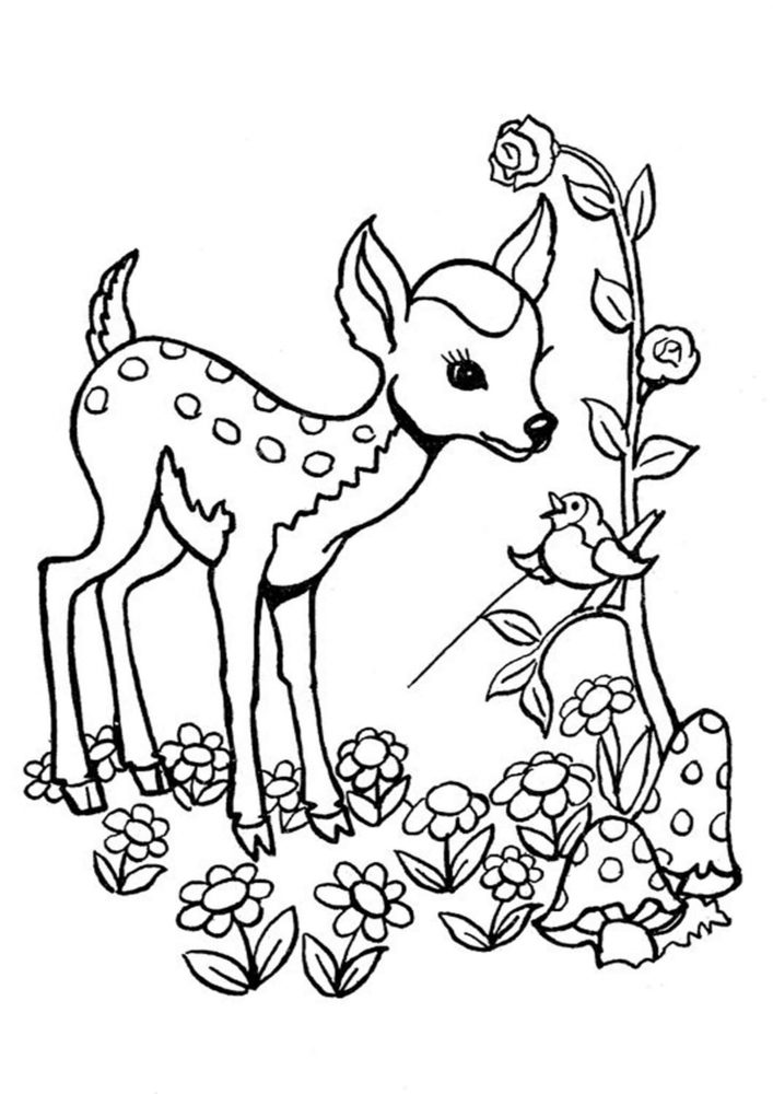 40 Coloring Pictures Of Deer 40