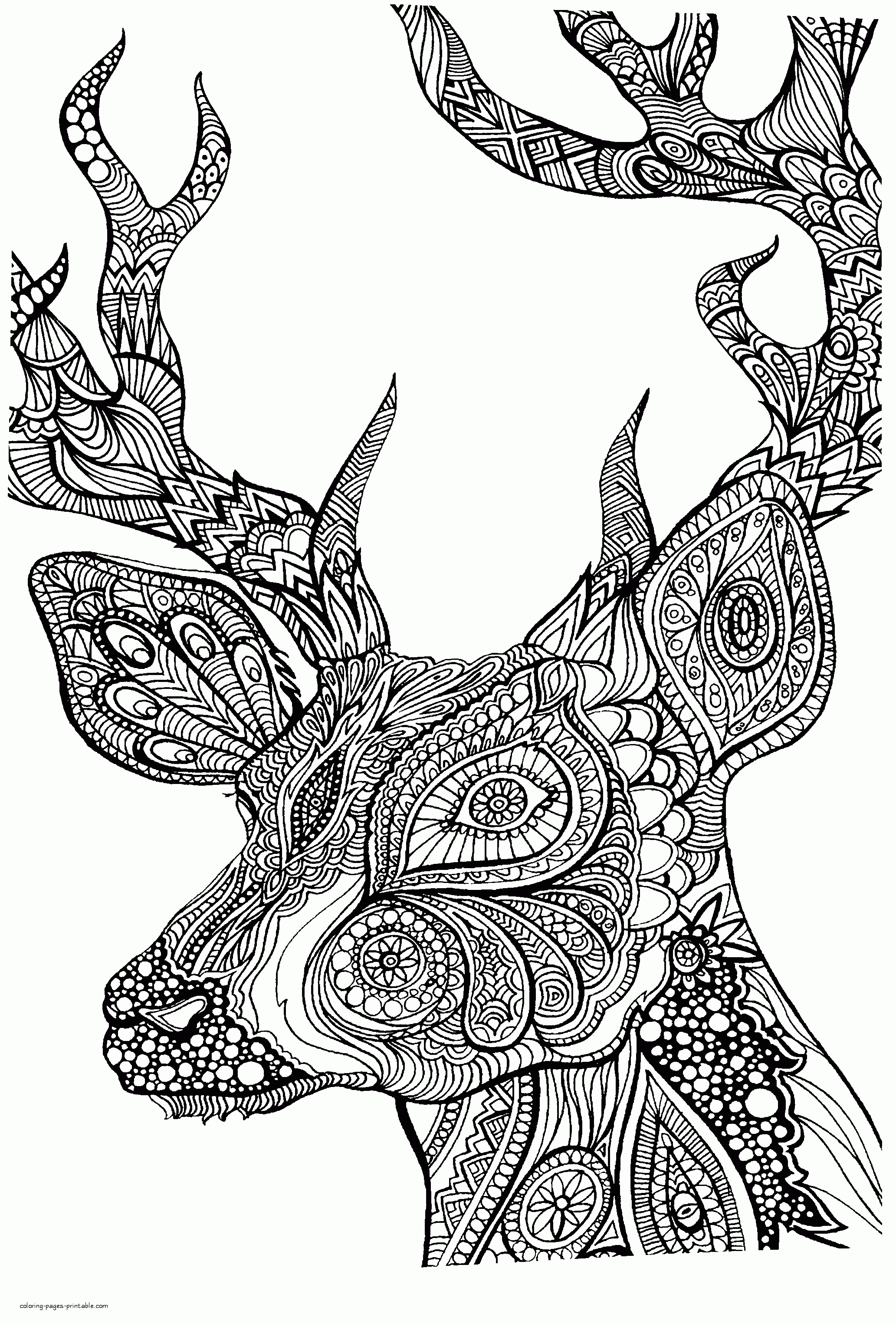 40 Coloring Pictures Of Deer 42