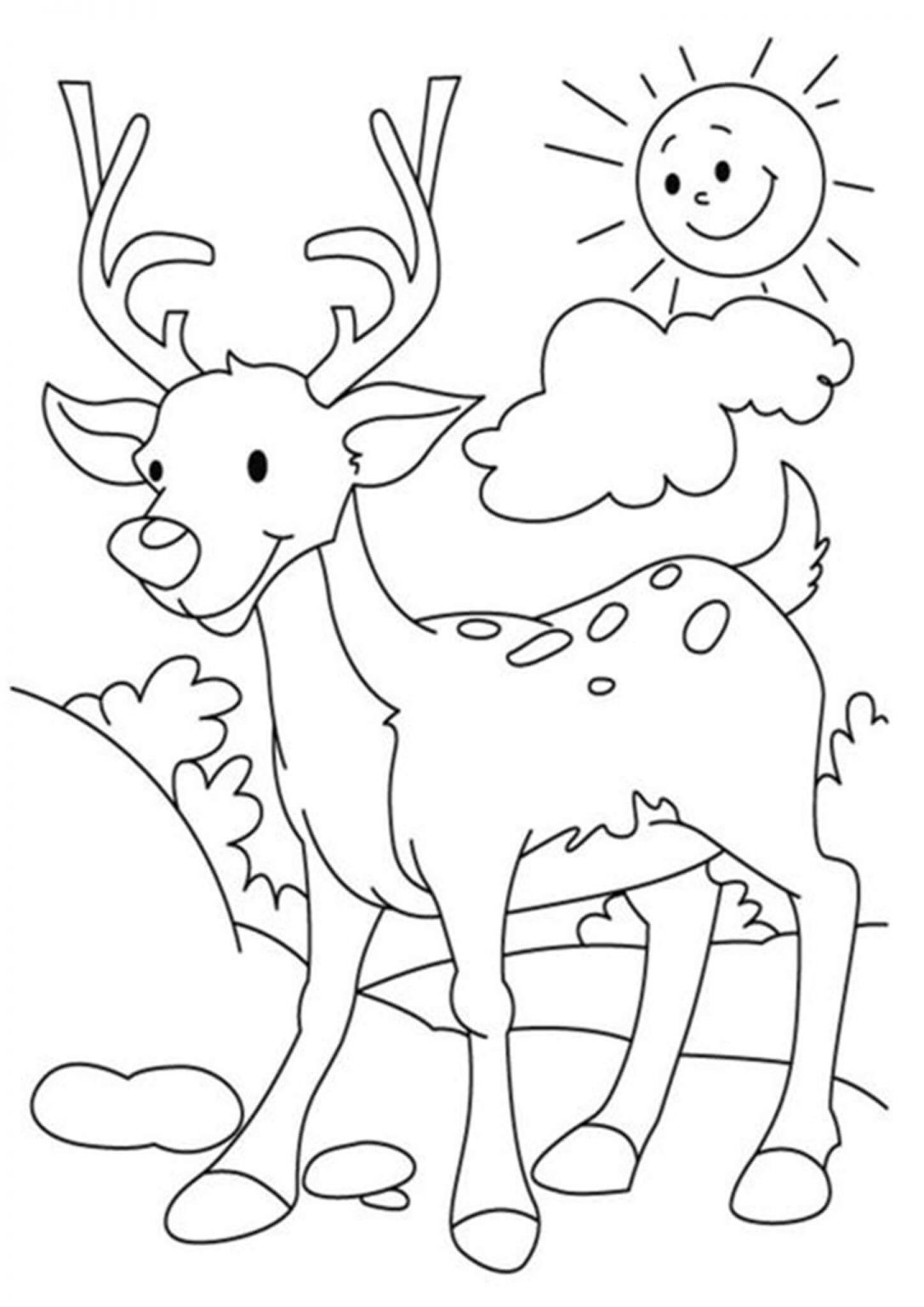 40 Coloring Pictures Of Deer 43