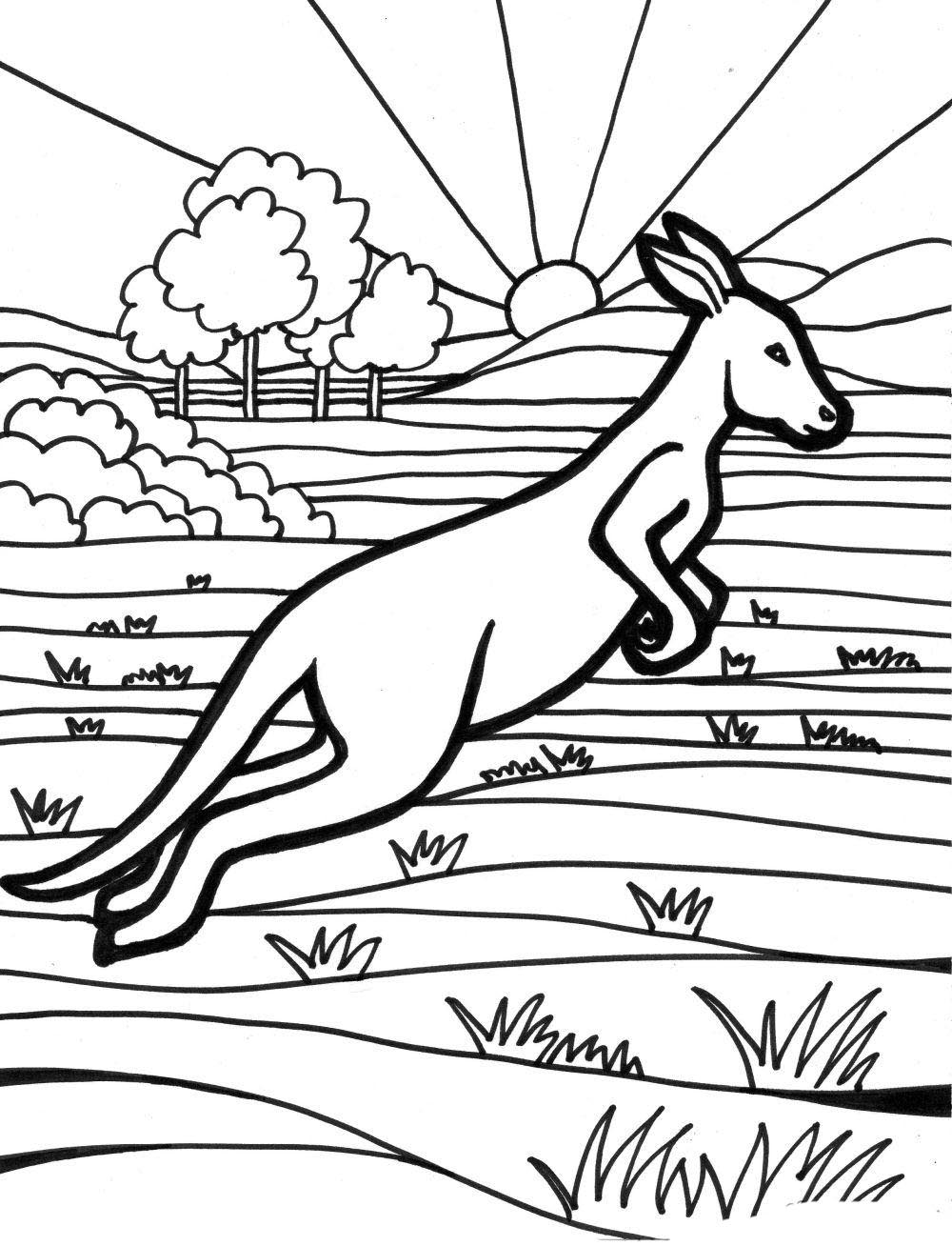 45 Australian Coloring Pages 8