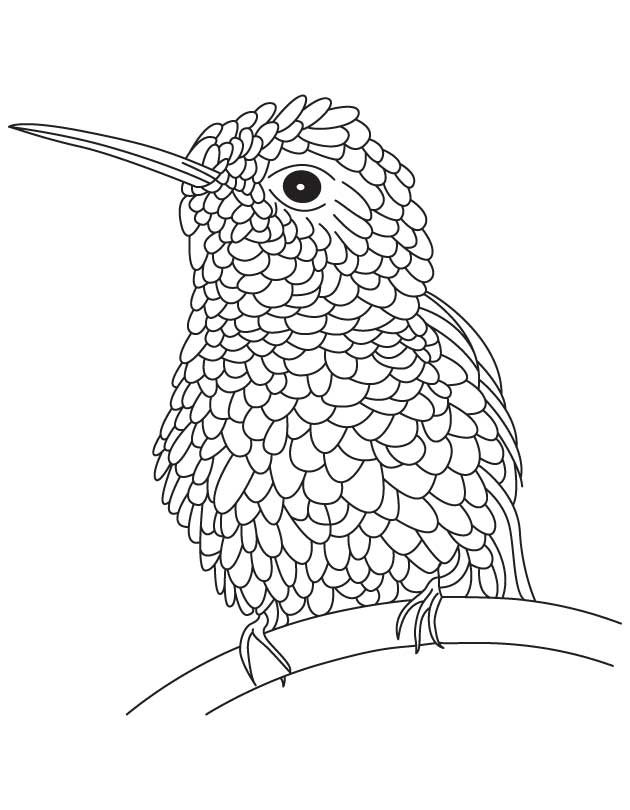 45 Coloring Pages Of Hummingbirds 102