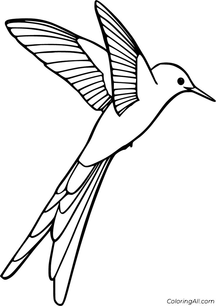 45 Coloring Pages Of Hummingbirds 104