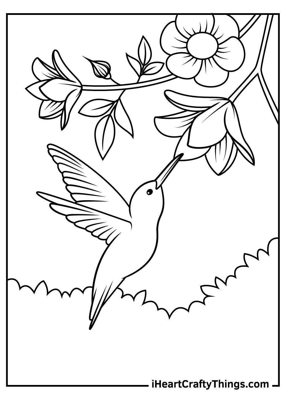 45 Coloring Pages Of Hummingbirds 105