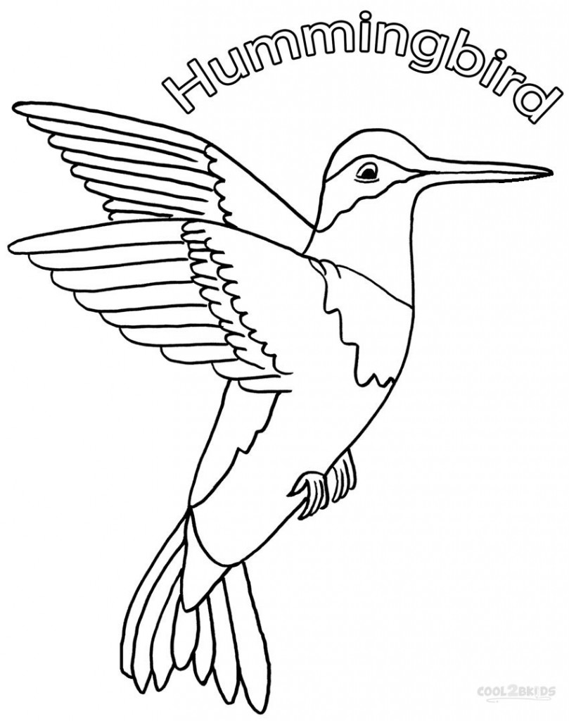 45 Coloring Pages Of Hummingbirds 17