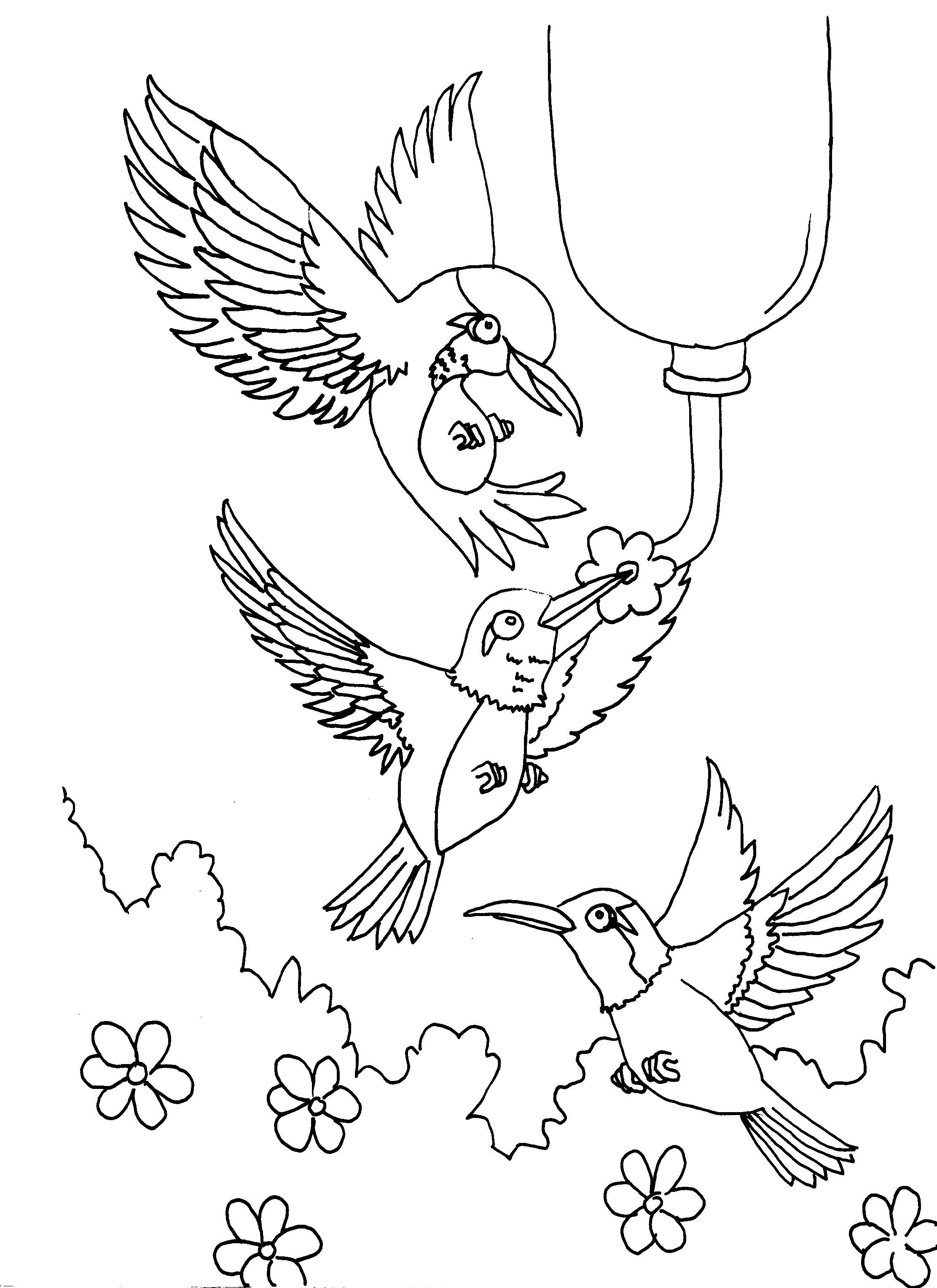 45 Coloring Pages Of Hummingbirds 19