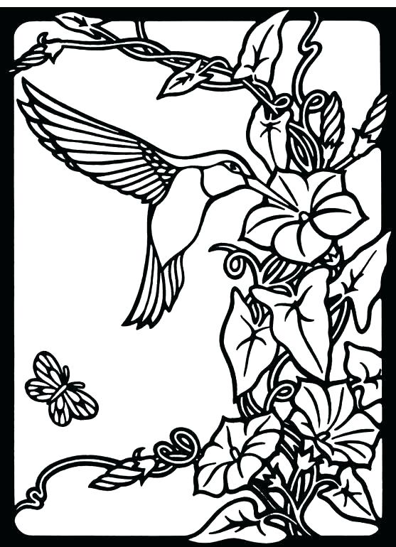 45 Coloring Pages Of Hummingbirds 20