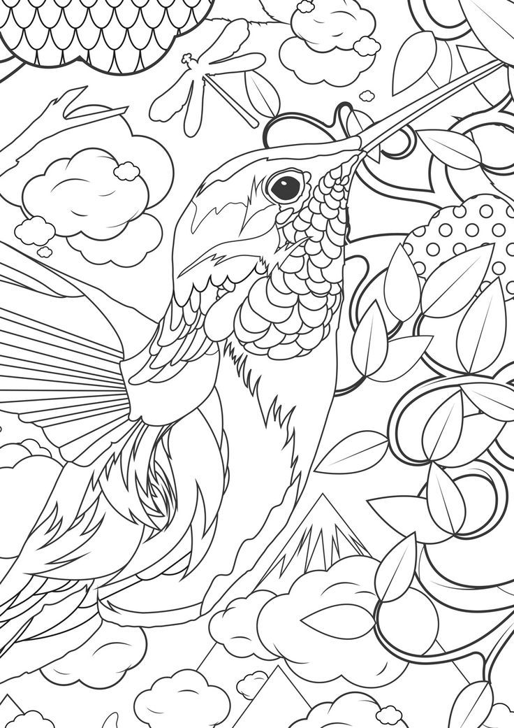 45 Coloring Pages Of Hummingbirds 22