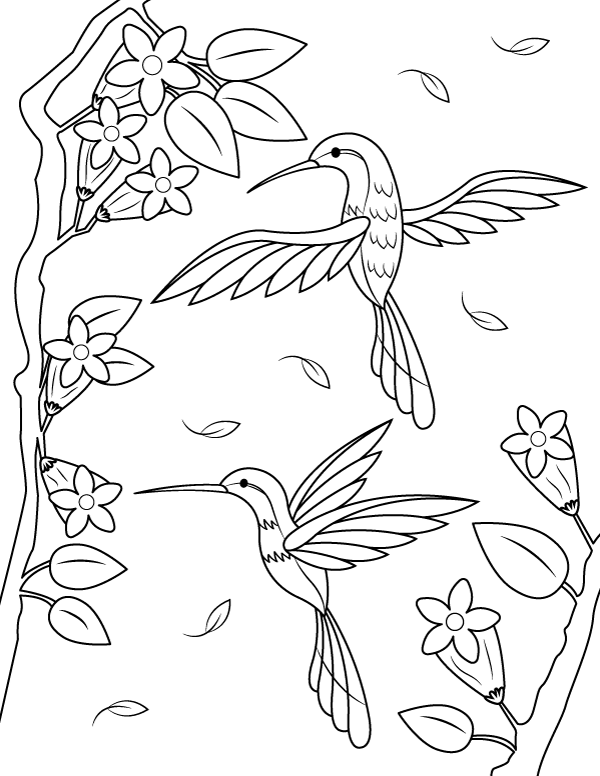 45 Coloring Pages Of Hummingbirds 23