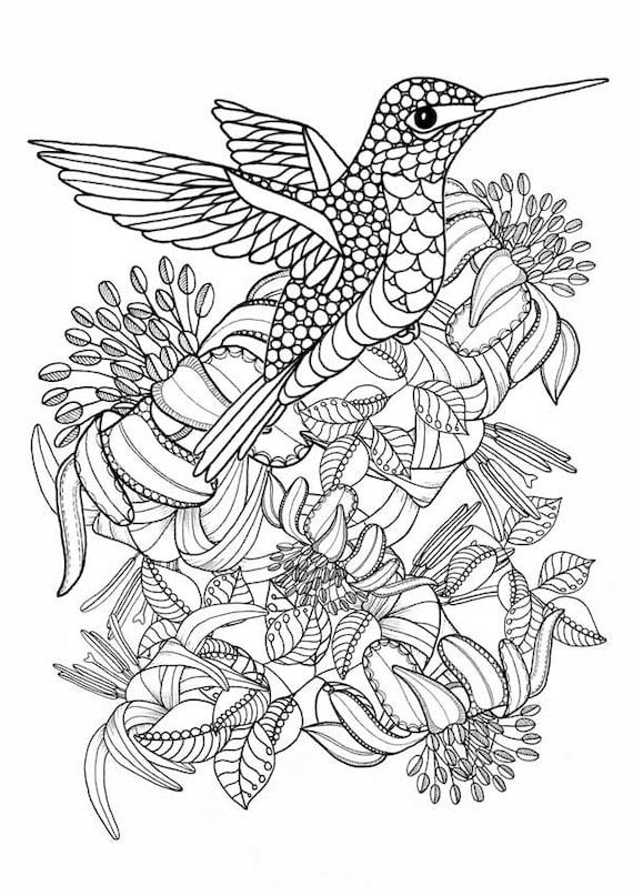 45 Coloring Pages Of Hummingbirds 28