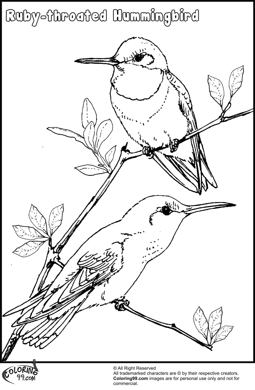 45 Coloring Pages Of Hummingbirds 32