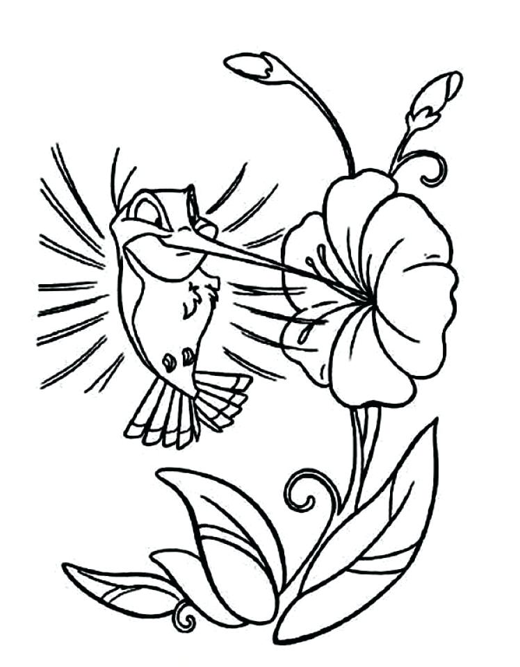 45 Coloring Pages Of Hummingbirds 43