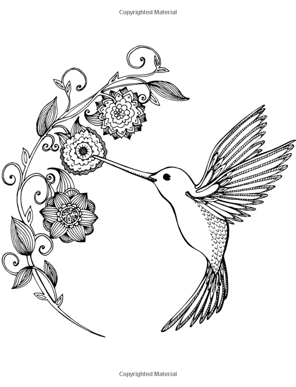 45 Coloring Pages Of Hummingbirds 53