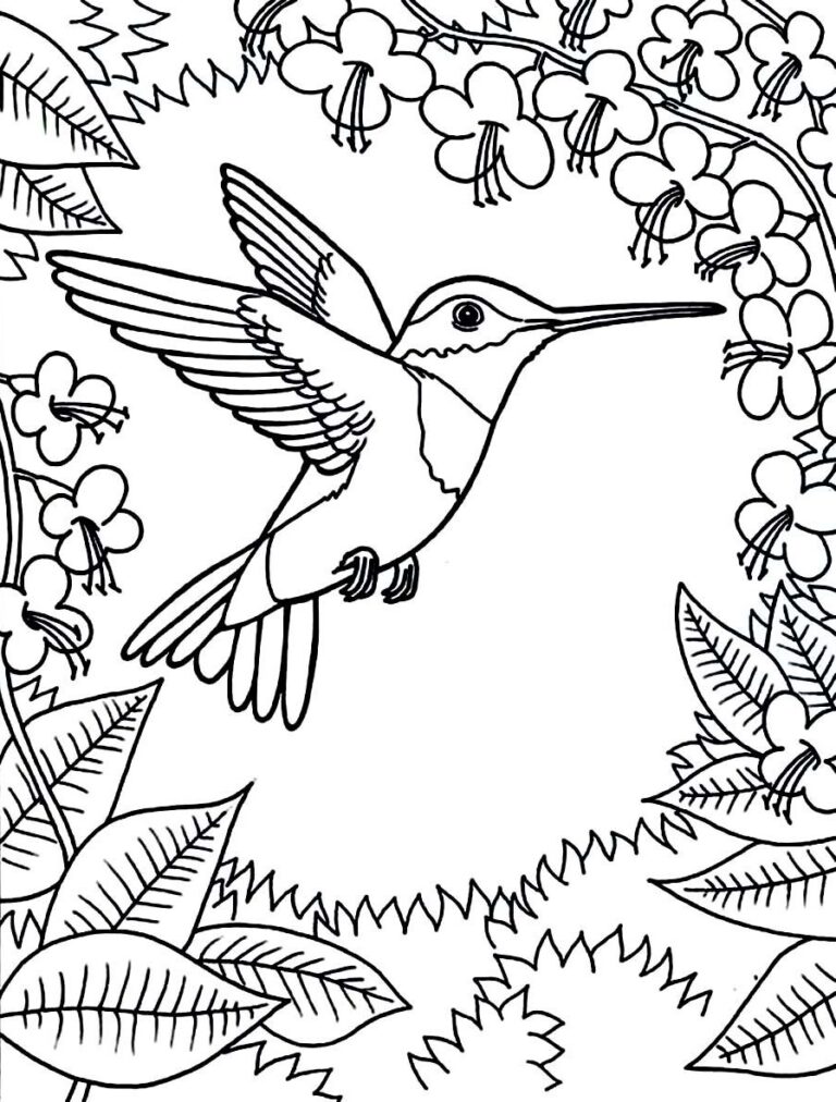 45 Coloring Pages Of Hummingbirds 73