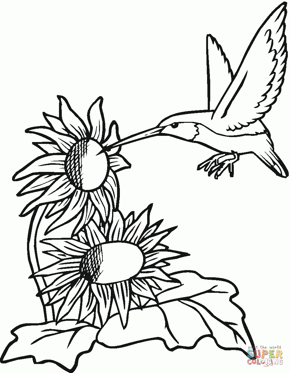 45 Coloring Pages Of Hummingbirds 75