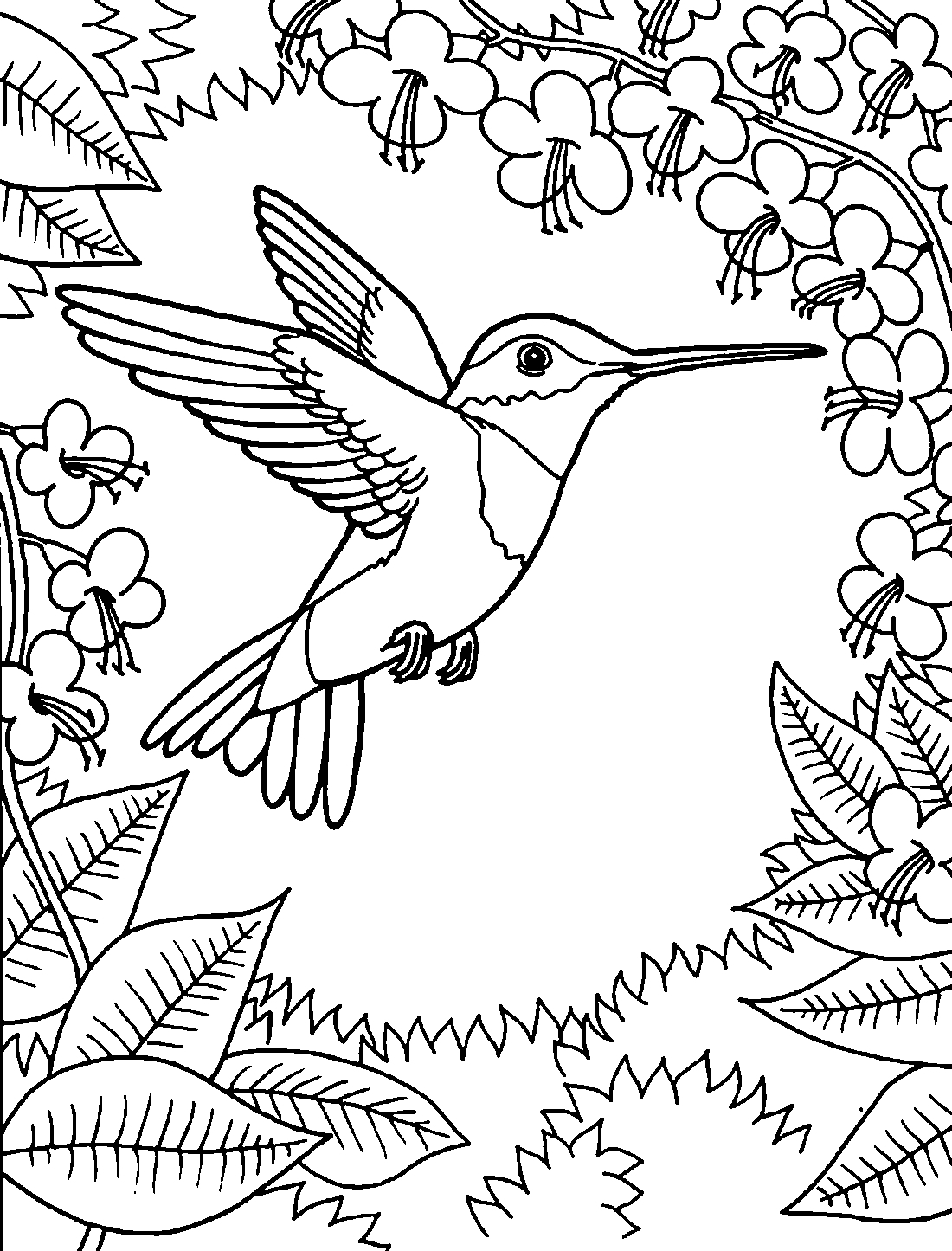 45 Coloring Pages Of Hummingbirds 78