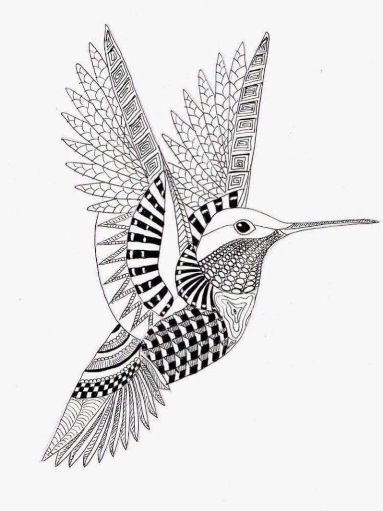 45 Coloring Pages Of Hummingbirds 80