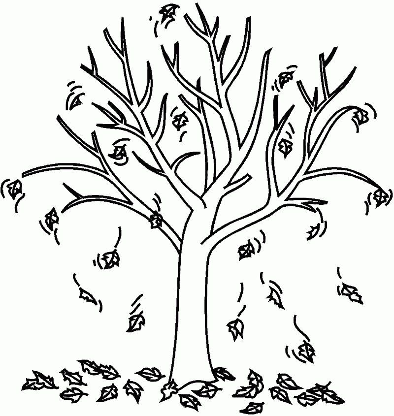 45 Fall Tree Coloring Page 18