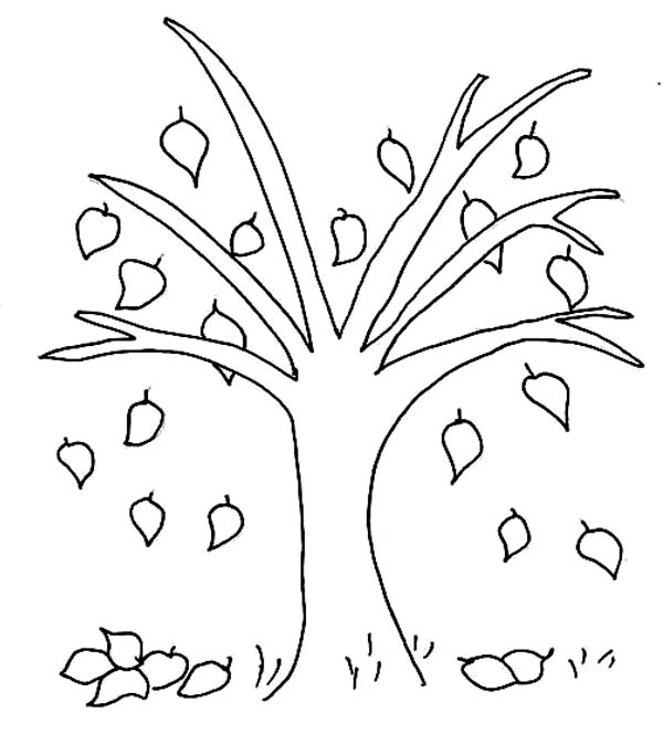 45 Fall Tree Coloring Page 19