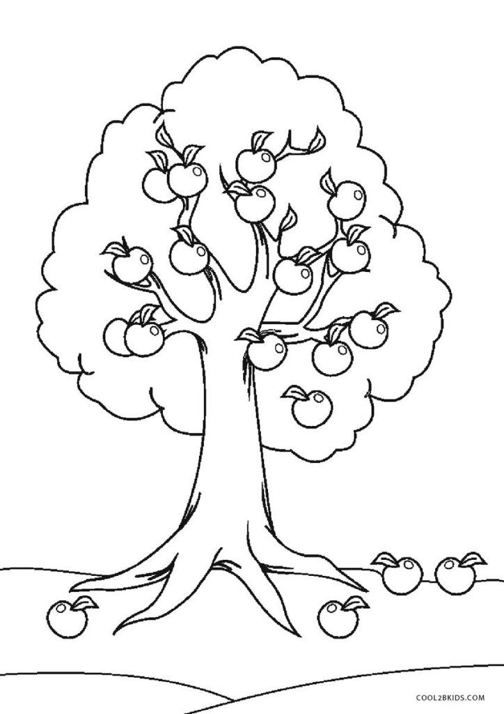 45 Fall Tree Coloring Page 28