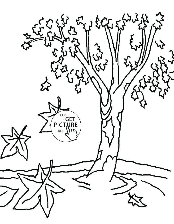 45 Fall Tree Coloring Page 3