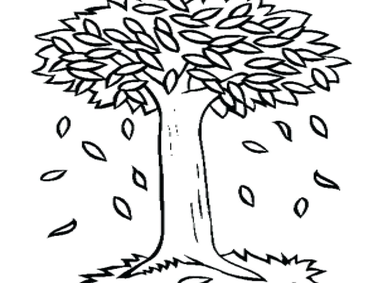 45 Fall Tree Coloring Page 5