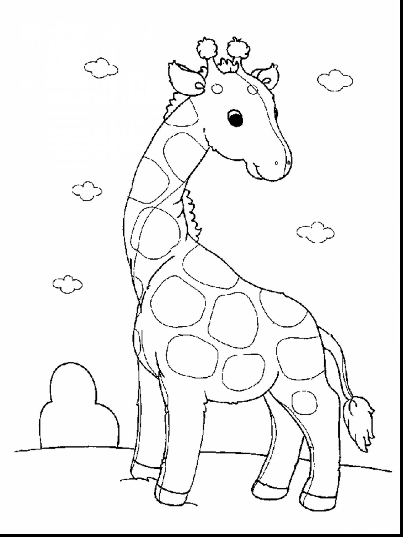 45 Free Animal Coloring Pages Printable 41