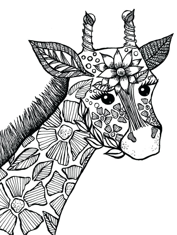 45 Free Animal Coloring Pages Printable 47