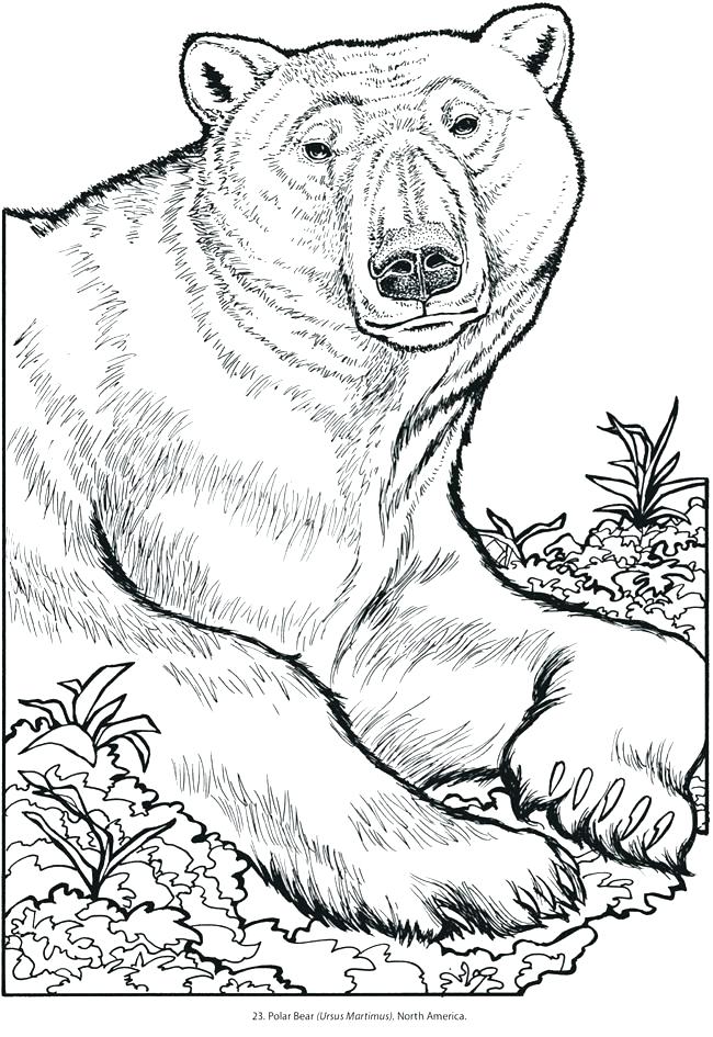 45 Free Animal Coloring Pages Printable 53