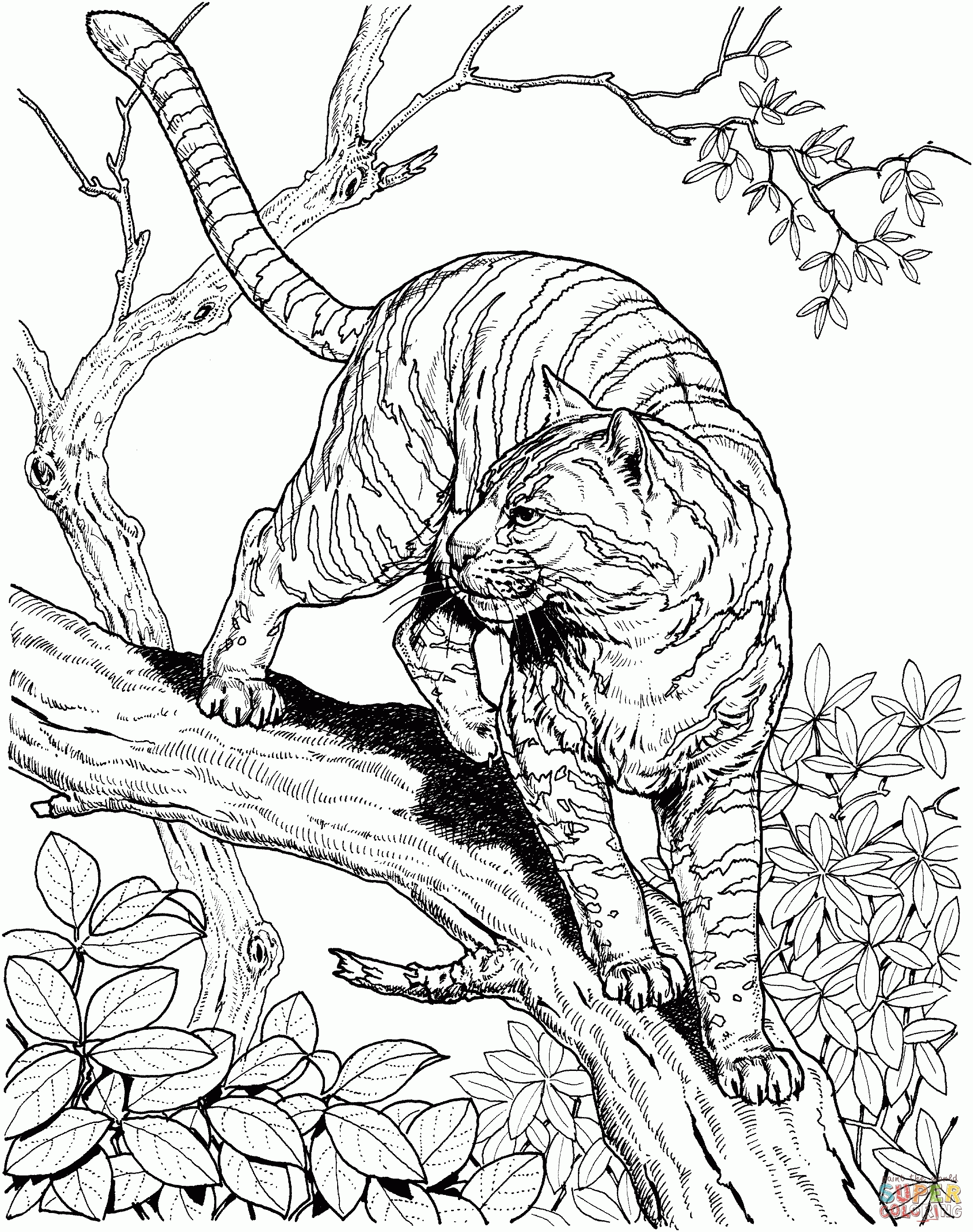 45 Free Animal Coloring Pages Printable 54