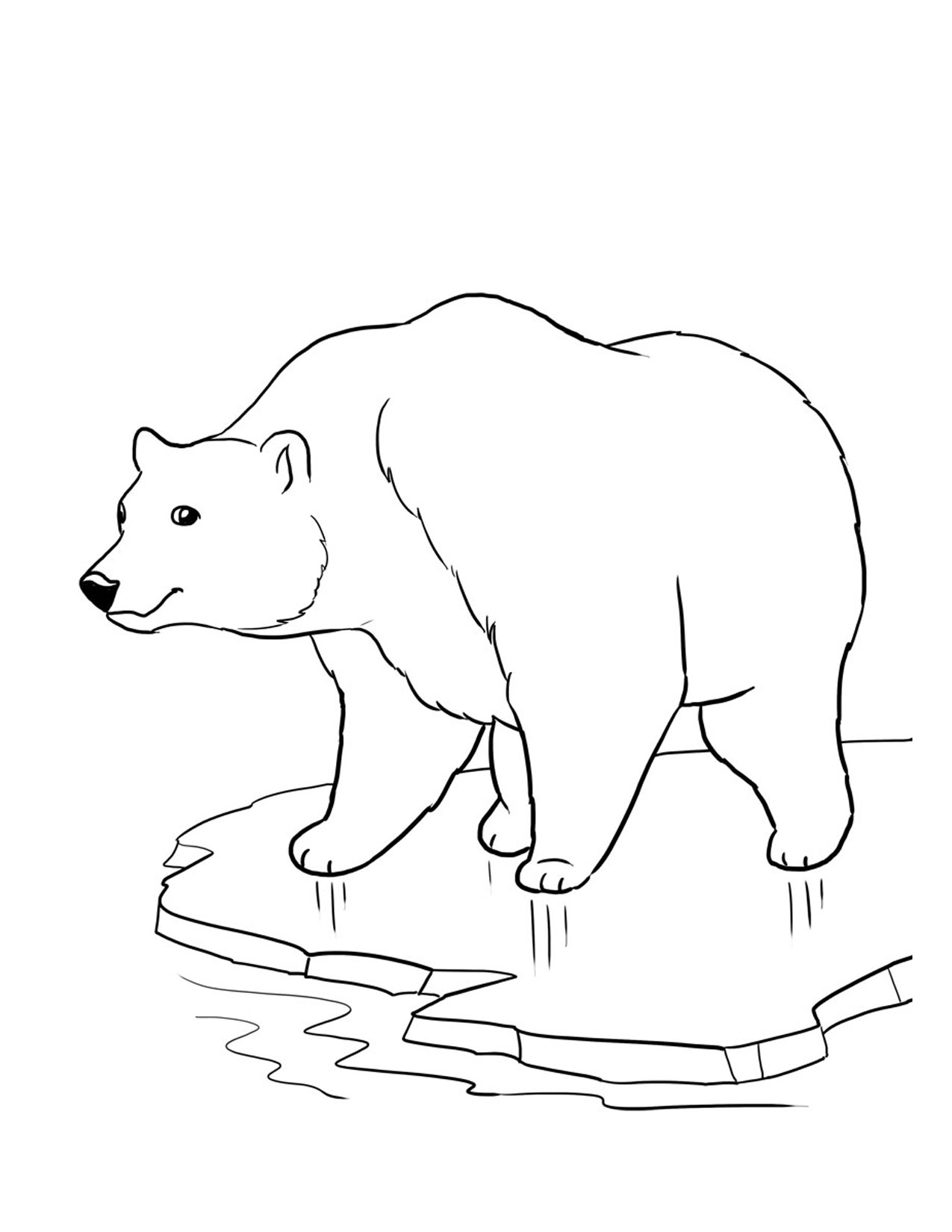 50 Brown Bear Coloring Page 18