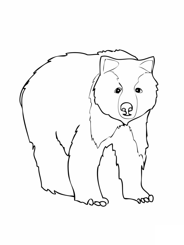 50 Brown Bear Coloring Page 37