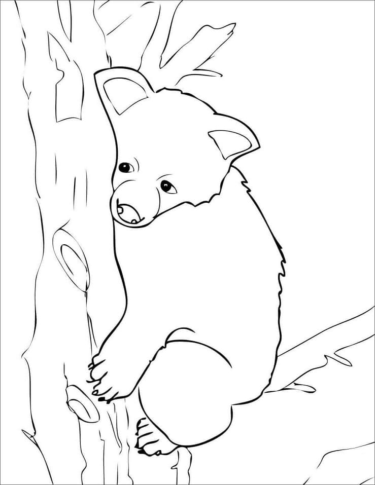 50 Brown Bear Coloring Page 40