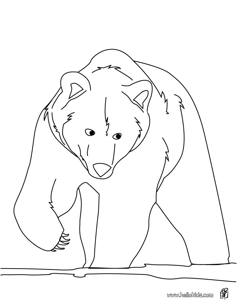 50 Brown Bear Coloring Page 42