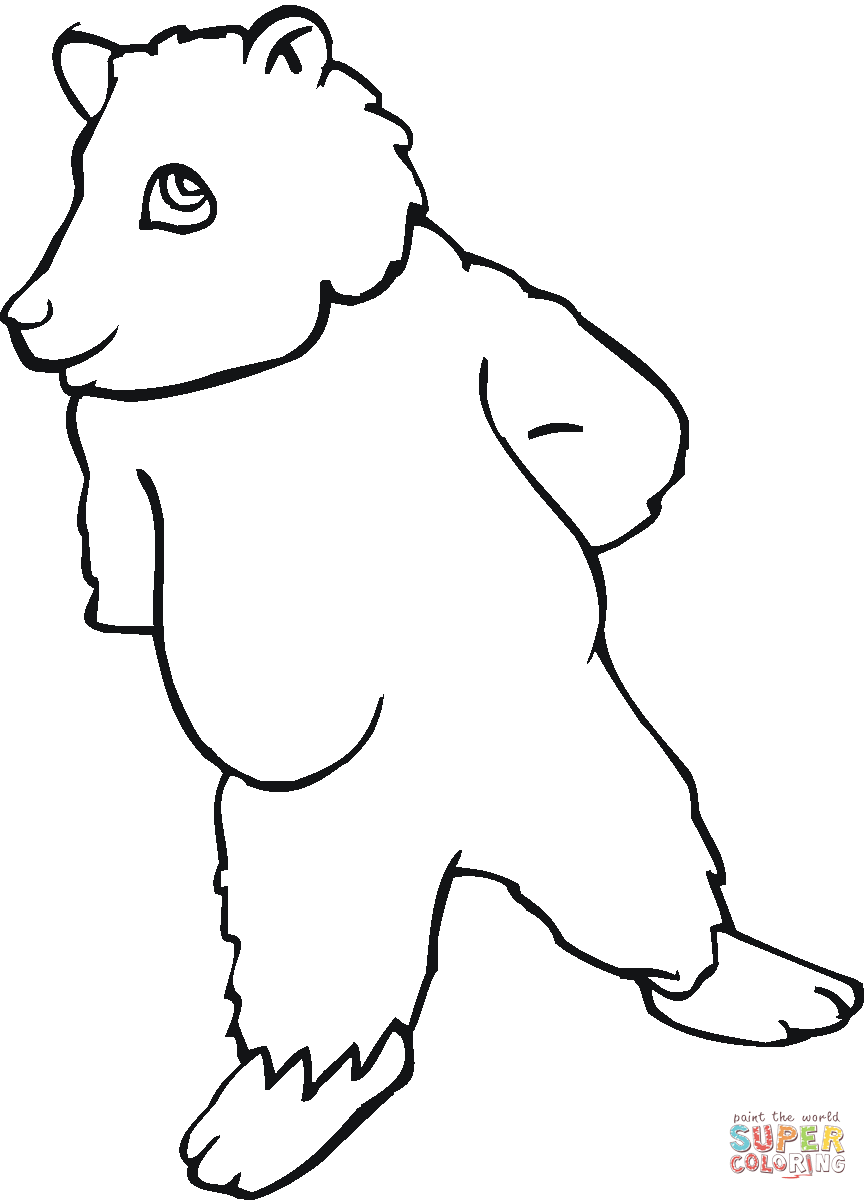 50 Brown Bear Coloring Page 52