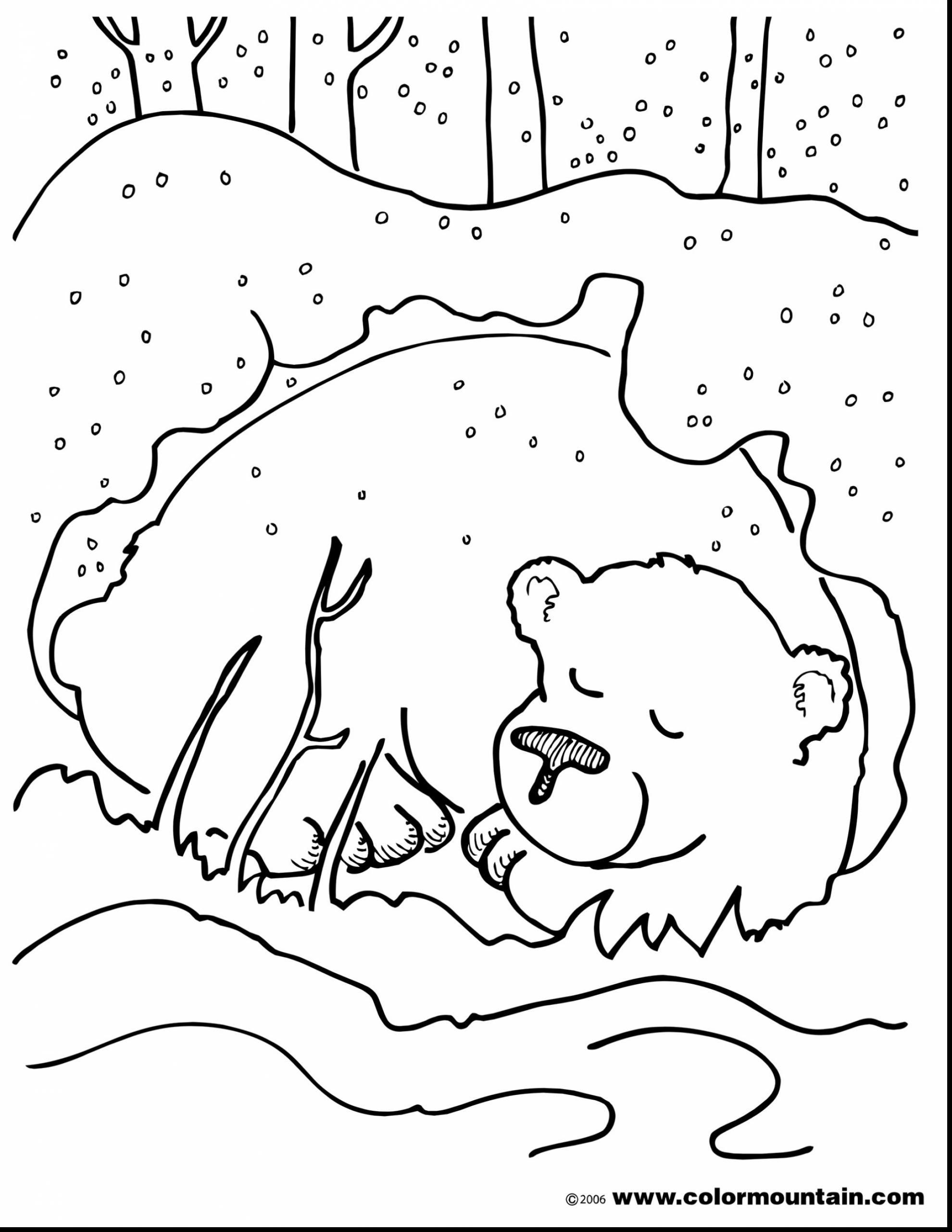 50 Brown Bear Coloring Page 54